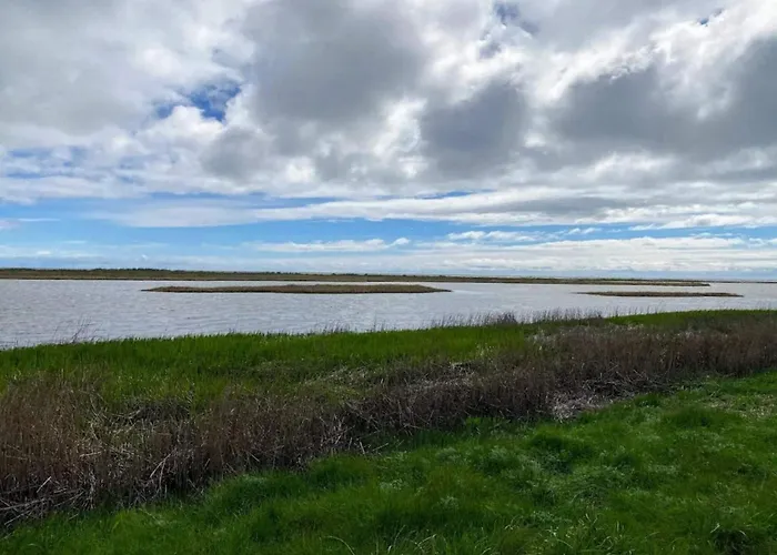 度假居 6 Person In Hadsund-by Traum